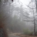 덕산이용원 이미지