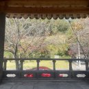 구례판소리기념관 네이버블로그