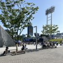 산호동132 | 창원NC파크 야구장 외야석 132블럭 7열 5번자리 후기