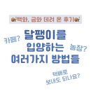 금와농장 | 🐌백와, 금와 입양 후기🐌 +달팽이 입양하는 방법은 어떤 것이 있을까?/ 달팽이 택배로 보내는 법 / 처음...