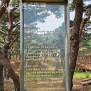 휴가펜션민박 | 휴가철 덕적도 민박후기, 서포리펜션민박 분위기도 시설도 완전만족!