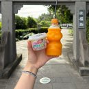 (합)경기렌트카 | 밀린 일상 풀기