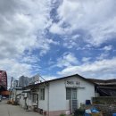 산수갑산 | [강원 / 속초] 아바이회국수 후기