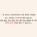 로비앙 네이버블로그