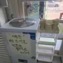 건영농장 | 원주칼국수 행구동 보말비빔밥 제주보말칼국수 후기