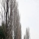 경춘선숲길 이미지