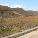 영포농장 이미지