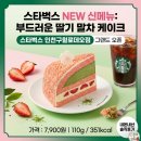 호인세상 | 구월동 로데오 카페 스타벅스 딸기 말차 케이크 솔직후기