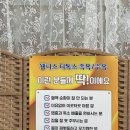 웰니스디톡스족욕카페 이미지