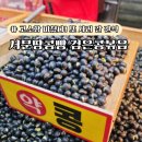 서대구시장 | 대구 서문시장 간식 서문땅콩빵 검은콩볶음 솔직 후기