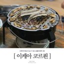 이케아 바베큐 불판 : 코르푄 휴대용숯불바비큐그릴