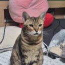 항아리보쌈 | 청주 분평동 내돈내산/둘이서 보쌈 중 먹은 항아리보쌈 후기