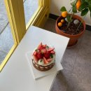 러빗댕댕 이미지