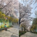 낙성대동-22 네이버블로그