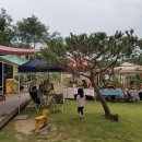 (주)샤인위드컴페니언 이미지