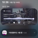 (주)행복을나누는사람들행복한동행 | 가을에는 사랑할 수 있을까요