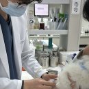 다산아이동물병원 이미지