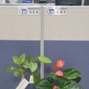 1번가부동산공인중개사사무소 이미지