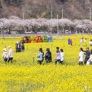 상맹방1리마을회관 네이버블로그