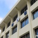 에스엘 독 이미지