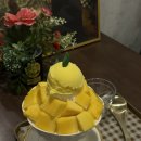 디어 마이 망고 이미지