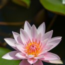 (주)자라나는씨앗 이미지