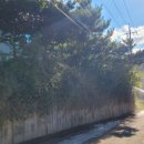 제이엔조경(주) 이미지