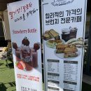 까로치아 이미지