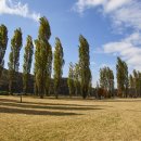 여주-1092 이미지