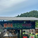 원더풀 골프장 | 가평 아이랑 가기 좋은 키즈 카라반 원더풀글램핑&amp;카라반 (객실, 개별 수영장 그 외에 부대시설 등)