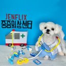 울산 제이앤독 애견샵 | 울산 남구 애견미용 가격도 합리적이면서 잘하는 곳 제이앤독 단골 후기