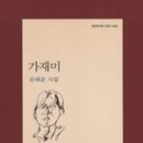 가재미로 이미지
