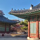 백송인쇄기획 | 늦가을 서울나들이 창경궁 궁궐산책
