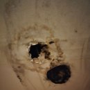 호텔여기어때 주안점 이미지