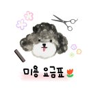 꽃단장하시개