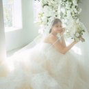 STUDIO202(스튜디오202) | 📷 아레나파크 홀패키지 3탄 – 연계 스튜디오 비교 + 실제 선택 후기