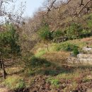 호두구름이네 이미지