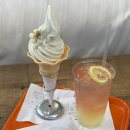 만나성 | 상반기 이모저모 no.1