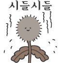 위너컴퍼니 네이버블로그