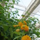 창녕우포곤충나라 이미지