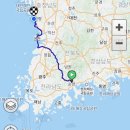충남(보령) 박투어 후기 이미지