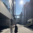 다섯 난장이 | 대지진설에 삿포로 다녀온 후기(6/28~7/2) 제2탄