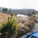 세양목장 이미지