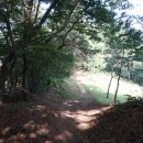 성안주유소 이미지