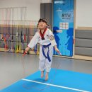 팡팡태권도장 이미지