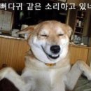 꿀먹은강정 - 성남시 수정구 시민로 144-1 | 꿀먹은강정