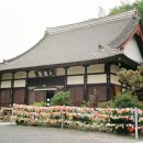 풍원수족관 이미지