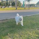 반포 한강공원 후기 (+ 지하통로, 편의점)