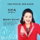 돌섬 Daum카페