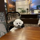 탑립농장 이미지